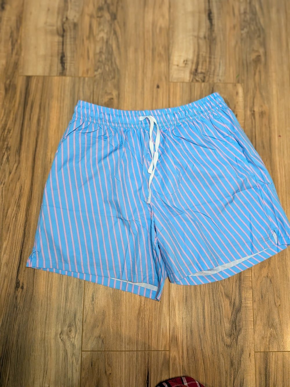 Blue and Pink Stripe Swim Trunks with Liner, Men's Large